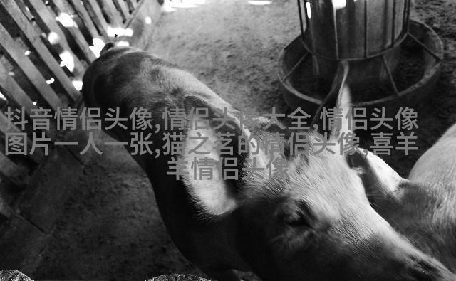 高冷孤傲的微信头像图片(精选20张)