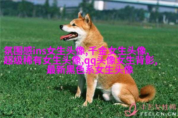 女生黑白简笔画头像(优选32张)
