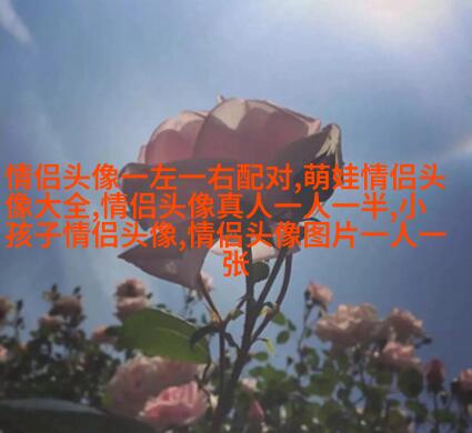 两人情侣头像一人一张(精选20张)