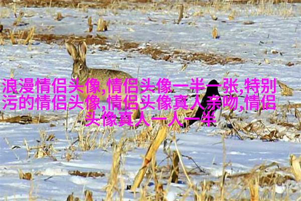 2023微信情侣头像最新版(优选14张)